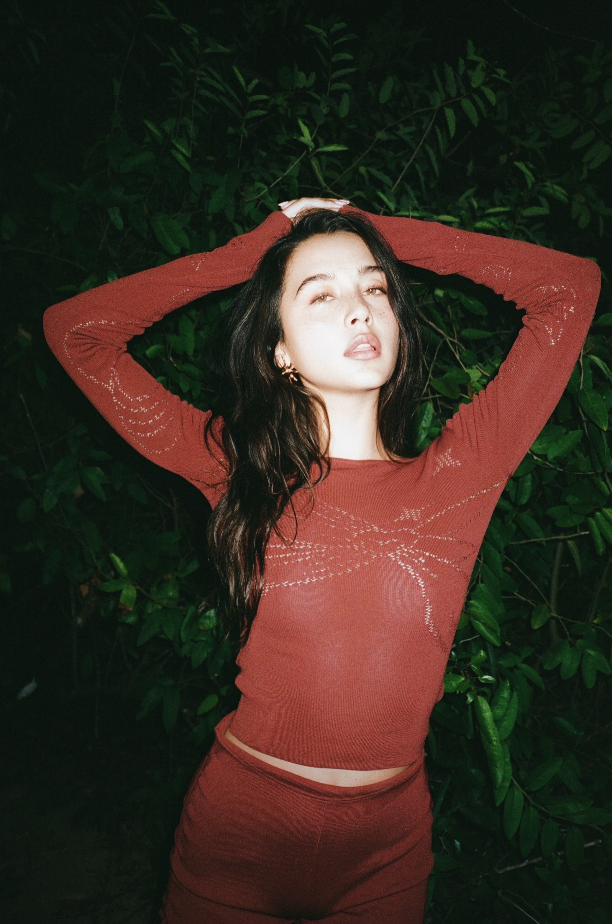 The Bow Top in Rosewood